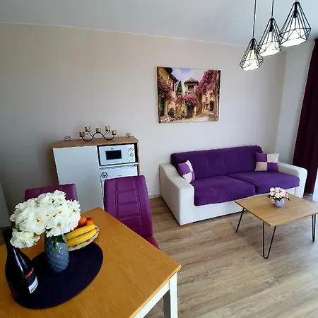 Old Sailor オブゾー